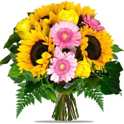 Sonnenblumen und Keimlinge